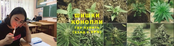 гидропоника Балабаново