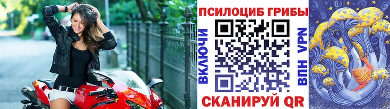 где купить   Сольцы  Псилоцибиновые грибы GOLDEN TEACHER 